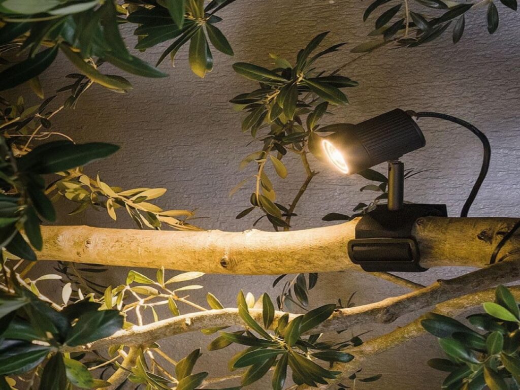 Efeitos de Iluminação em Projetos Paisagísticos